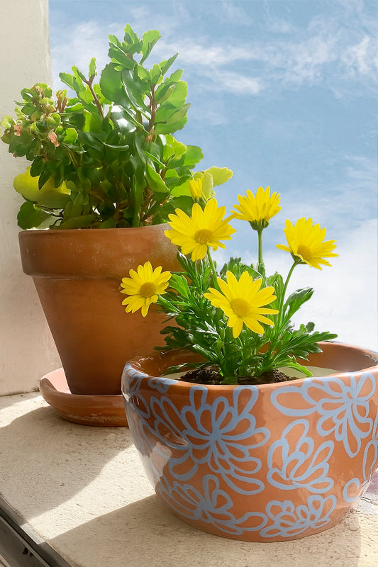 Maceta mediana Peonia celeste