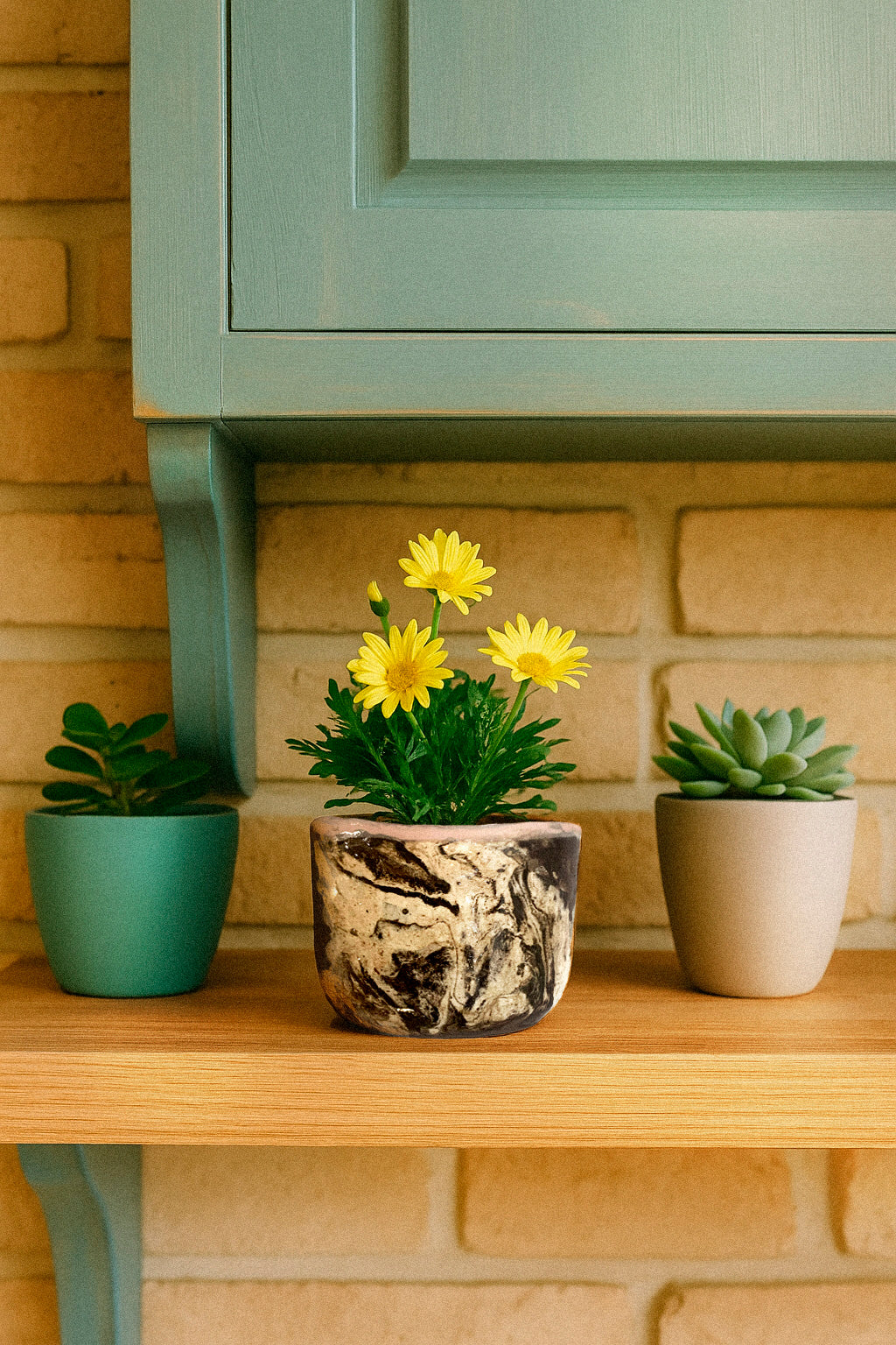 Mini maceta Chocolate