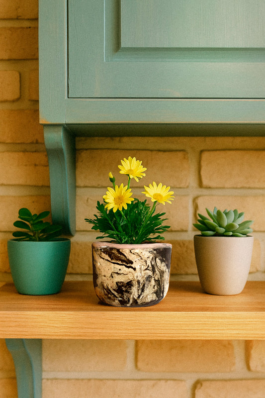 Mini maceta Chocolate